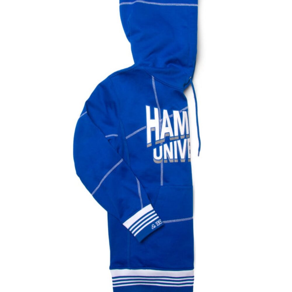 Hampton University Hoodie Retro HBCU Pride AACA Sweatshirt Alumni Gear - Picture 4 of 9